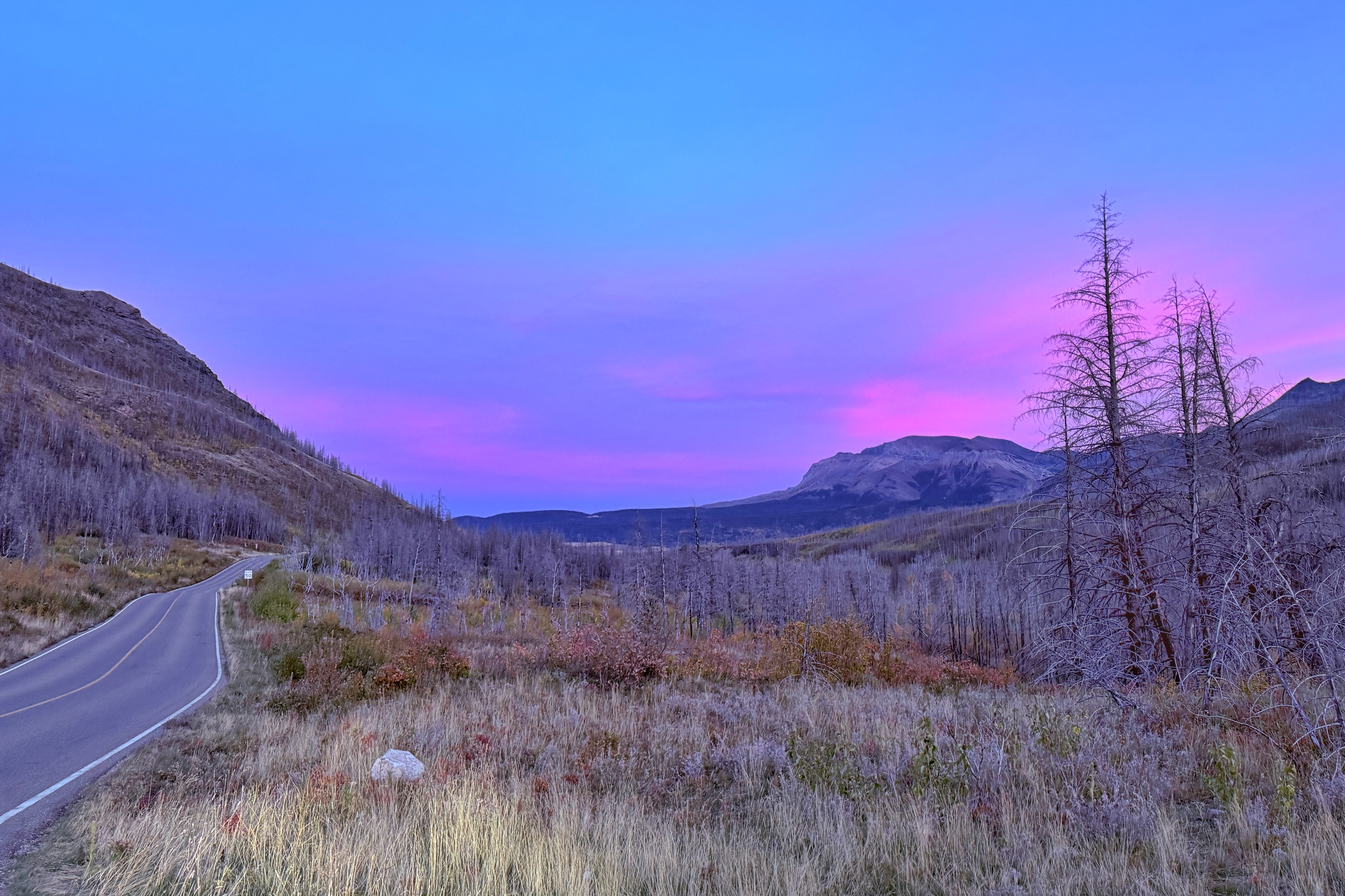 Lumière du soir sur la route de Waterton Lakes